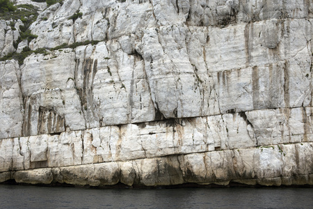 法国 calanques 的黑醋栗