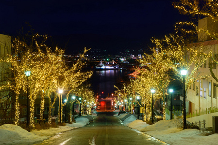 Hachimanzaka 和晚上在北海道函馆市的函的端口