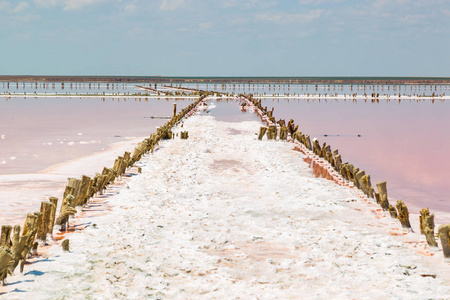 盐海水蒸发池与粉红色浮游生物颜色