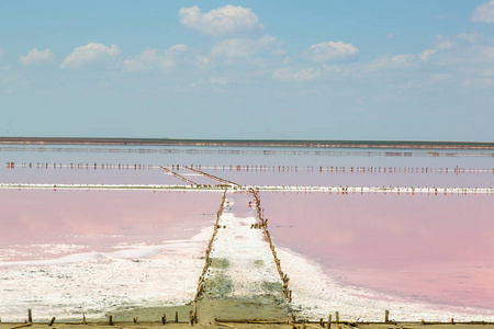 盐海水蒸发池与粉红色浮游生物颜色