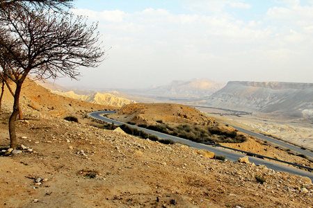 在 Negev 石质沙漠峡谷阿 Ein 伏达特