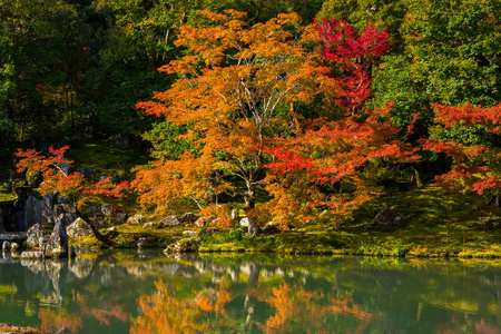 秋天在天龙寺在岚山湖