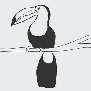 巨嘴鸟黑白插图