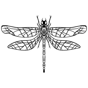 手绘草图蜻蜓矢量纹身照片