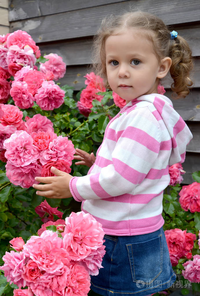 小女孩站在附近一丛盛开的玫瑰