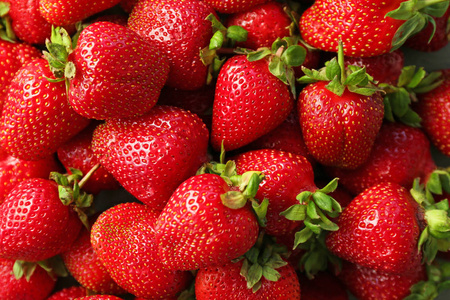 美味的成熟草莓