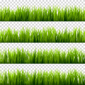草上透明背景集孤立。绿色的草地。自然背景。春天，夏天的时候