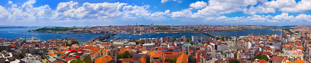 伊斯坦布尔土耳其全景