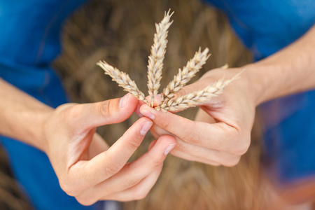 男人用手抚摸小麦