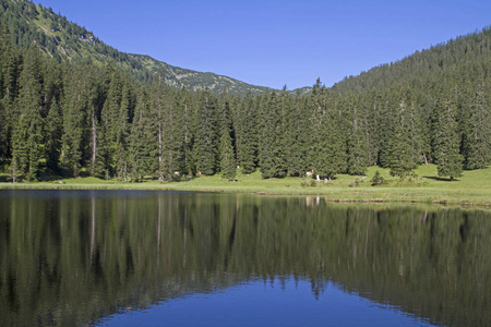 在酯类山中湖 Wildsee