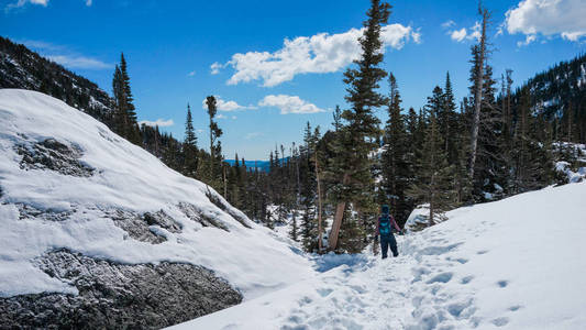 女性的徒步旅行者在冬天在森林里走着雪