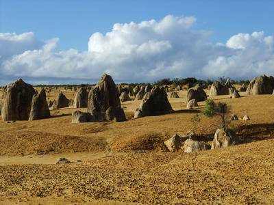 石峰在 Nambung 国家公园