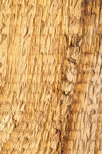 旧木板纹理与裂缝