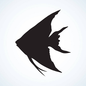 三角鱼图片-三角鱼素材-三角鱼插画-摄图新视界