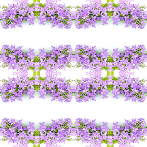 花紫色花