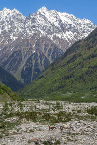 斯瓦涅季，格鲁吉亚山区山青水秀