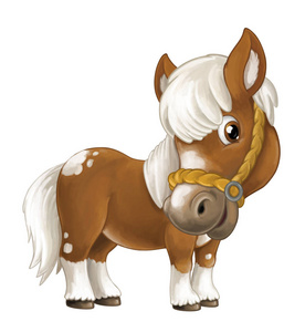 卡通快乐马照片