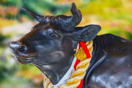 经纬网gosingyu (神牛) 在日本神户照片