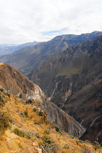 秘鲁的科尔卡大峡谷全景