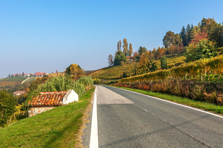 农村公路和意大利皮埃蒙特的秋季丘陵