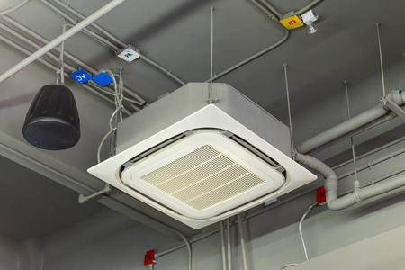 类型的顶棚覆盖物图片