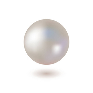 闪亮的珍珠镶嵌在白色的背景。矢量
