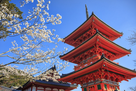 清水寺京都