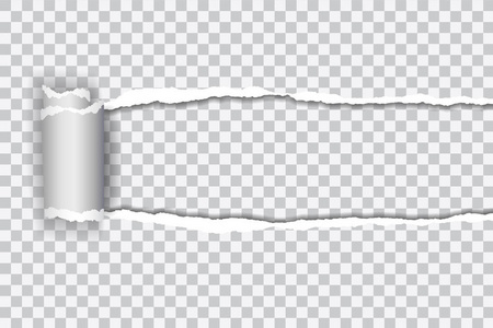 卷边在透明背景上用卷边设置矢量现实例证的透明撕碎的纸片照片