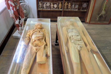 法医科学家在工作头颈部的法医学解剖解剖法医犯罪现场玻璃上的指纹