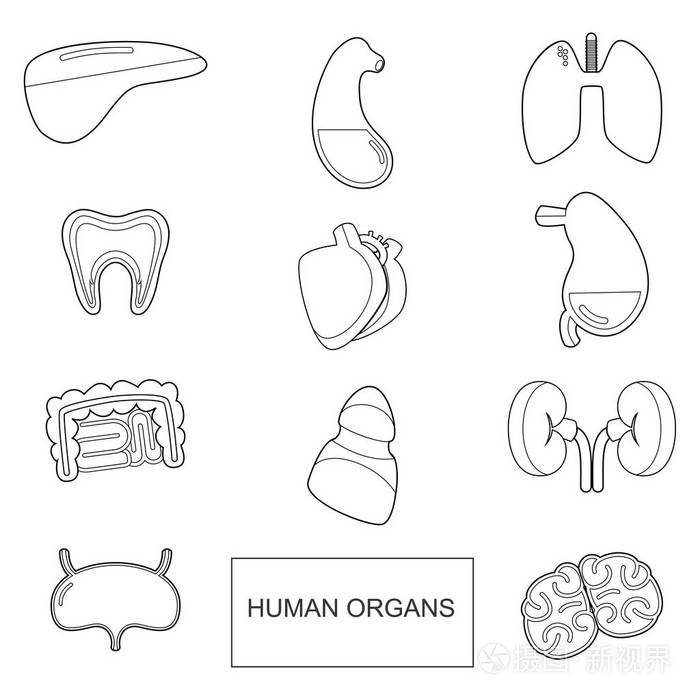 矢量图标集隔离在白色背景上插画-正版商用图片0v2jdy-摄图新视界