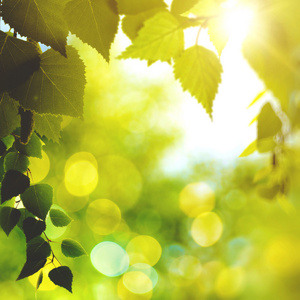 夏天午后阳光图片