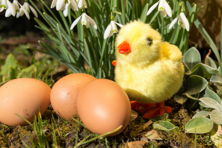 复活节彩蛋酿鸡
