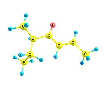 Filbertone 分子上白色孤立