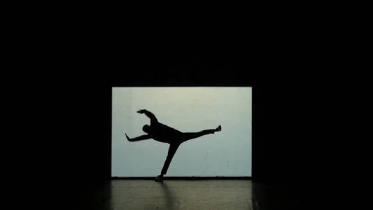 舞之影。在舞台上跳舞的舞者。舞者的身影。舞蹈的影子。3d 舞蹈表演