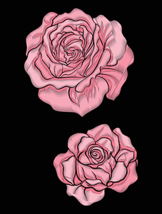 玫瑰花朵刺绣在植物学插画风格上
