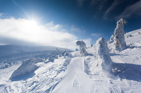 猫儿山雾凇图片
