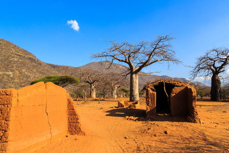 猴面包树在非洲被包围的房子