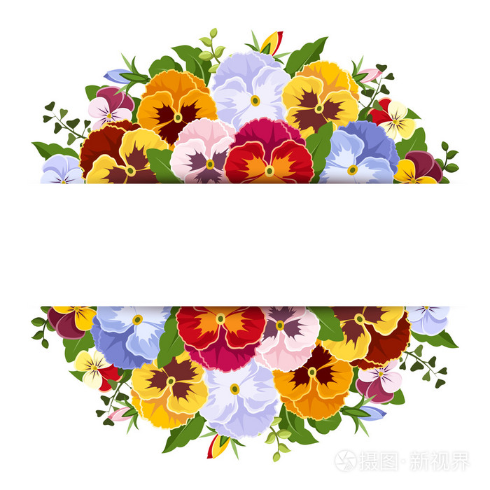 与多彩的三色堇花的背景 矢量eps 10插画 正版商用图片0v3nt1 摄图新视界