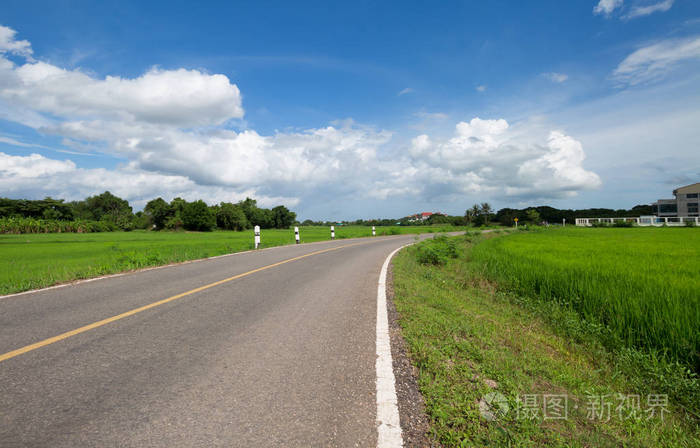 道路通槽绿色稻田