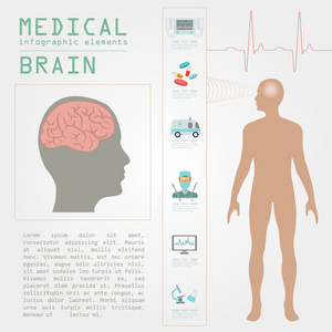 医疗和卫生保健的信息图表，大脑信息图表