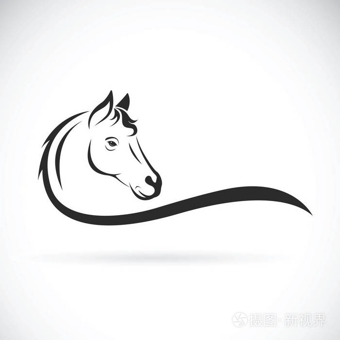 马头上白色背景上的向量.野生动物