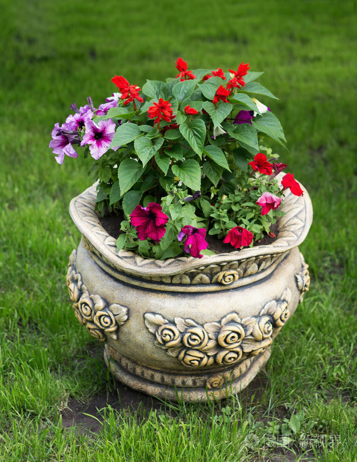 美丽花盆