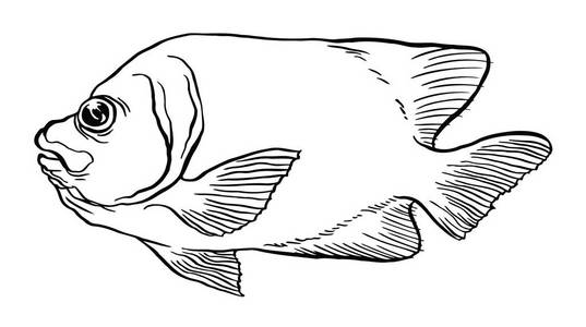 热带鱼-矢量手绘插图zentangle 程式化的水族馆无缝模式与手绘海鱼和