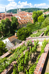 Ledeburska 花园和圣尼古拉斯教堂，布拉格，捷克共和国