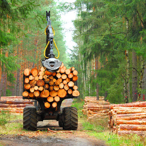 与现代收割机工作在森林里伐木工人