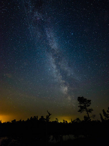 七彩树在夜空中看到的银河系图片