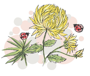 矢量剪影与黄色的菊花和瓢虫