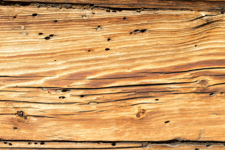 旧的木材纹理的自然形态