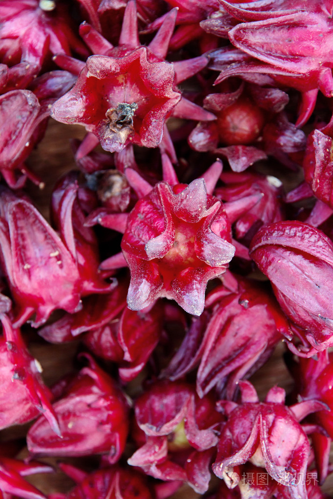 集团的新鲜洛神花jpg