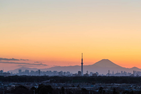 东京 Skytree 和富士山